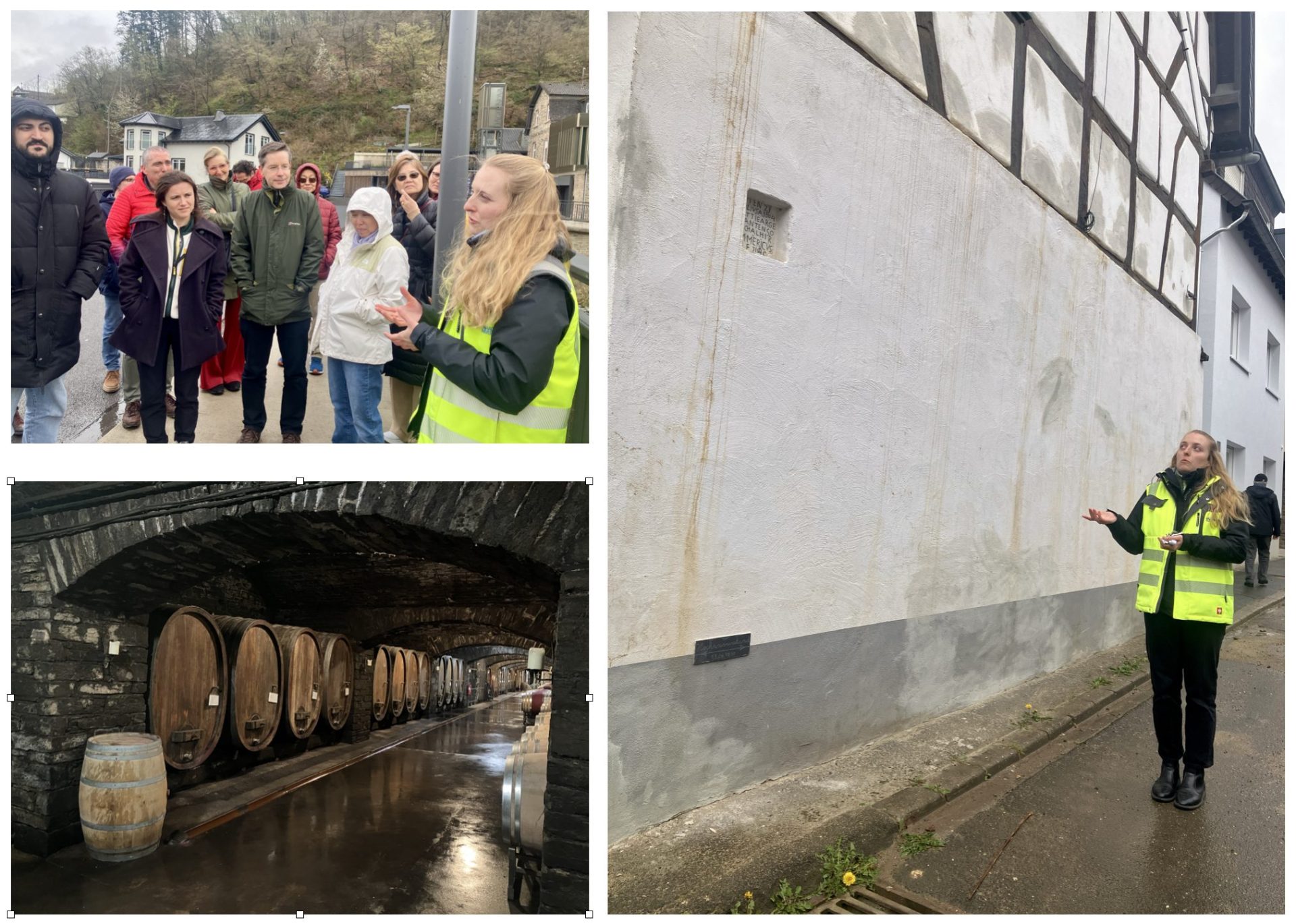 guided tour by Lisa Burghardt (RWTH Aachen) and wine cellar Mayschoss