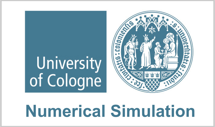 Logo Numerical Simulation Division of Mathematics, University of Cologne